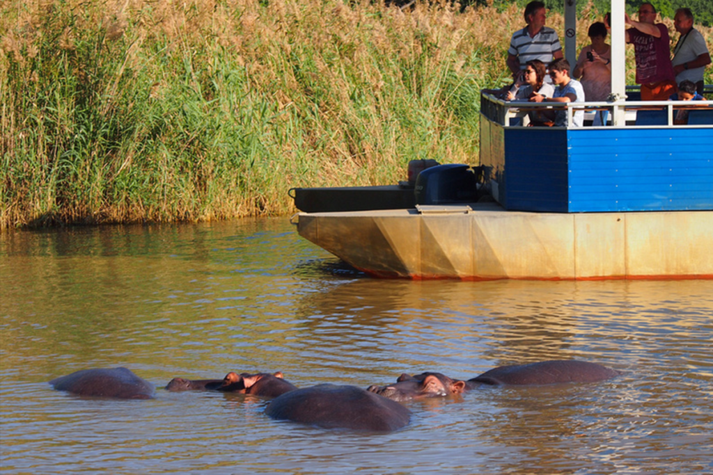 Water-based safari on the Okavango Delta