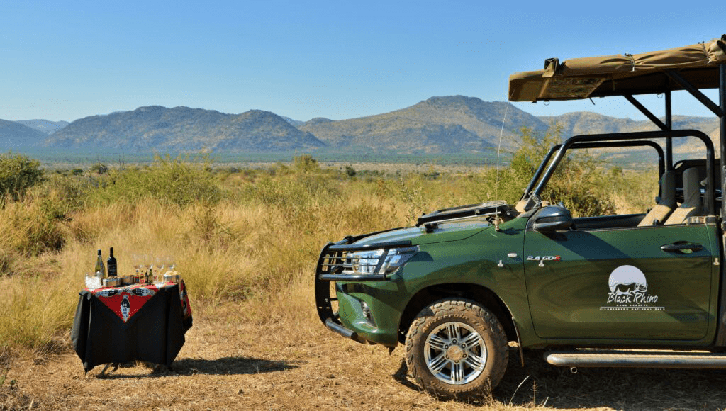 Pilanesberg Nature Reserve & Sun City12