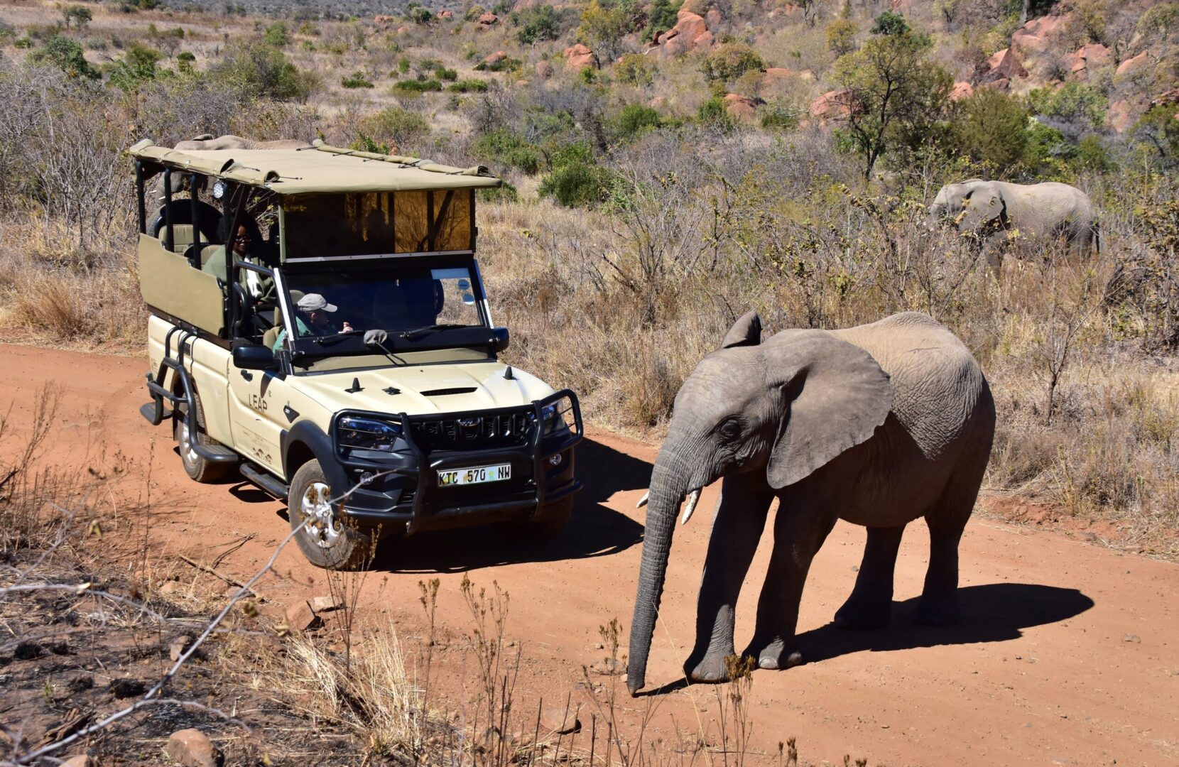 Pilanesberg & Sun City