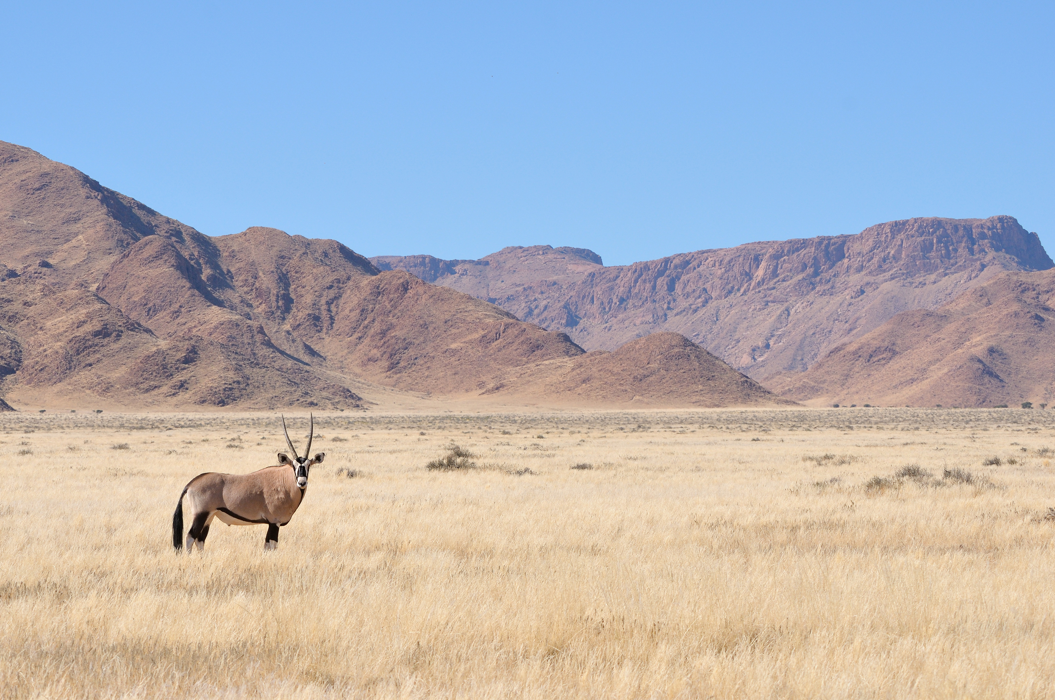Namibia — Buja Tours