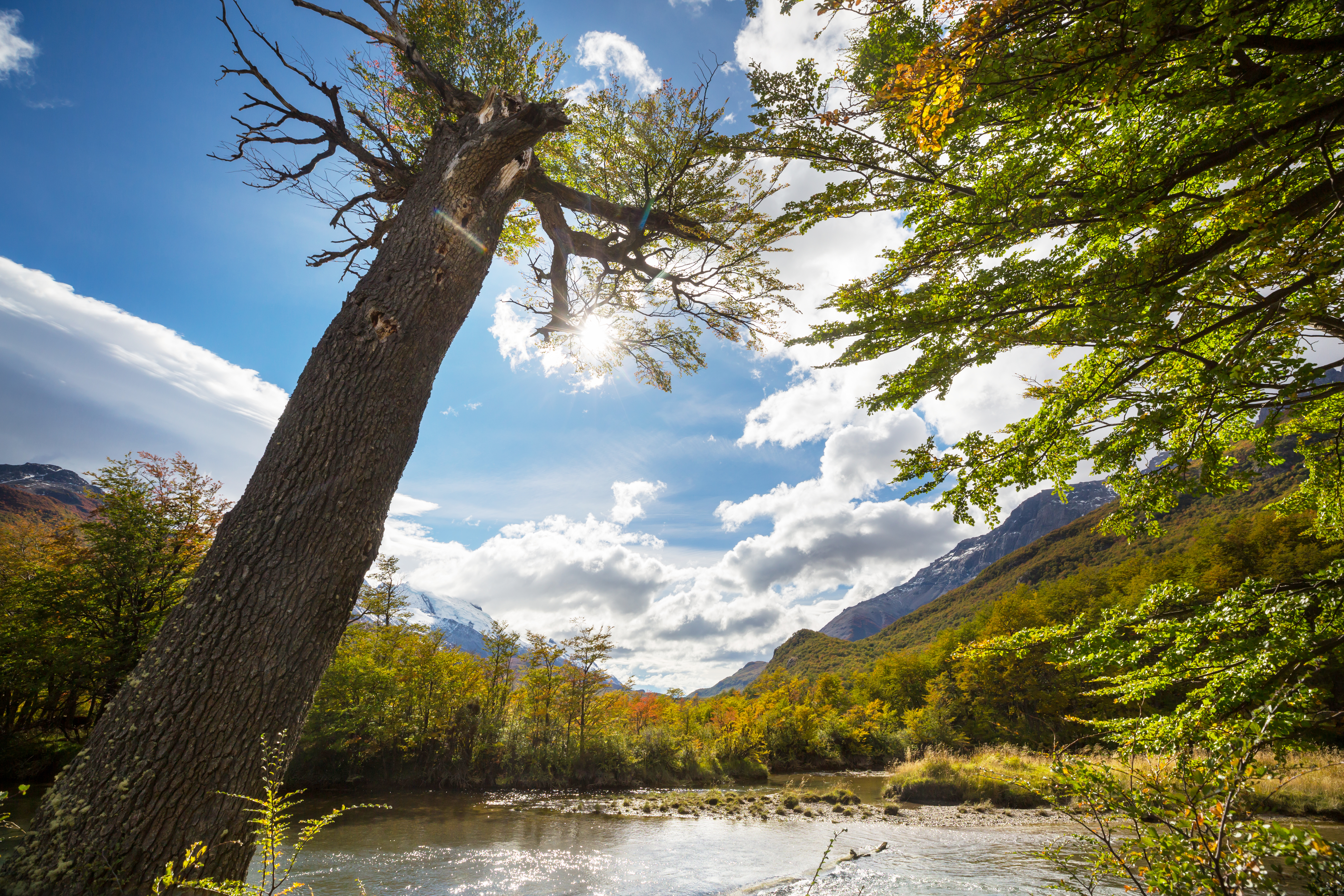 Scenic Outdoors